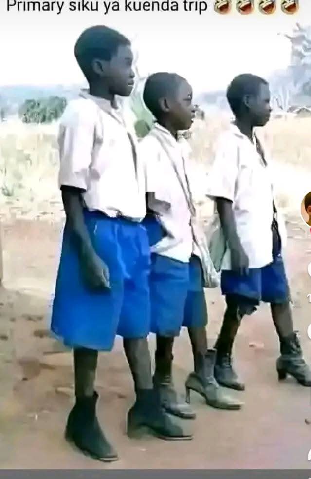 Enjoy this shared meme on HappyTimes, then discover more funny photos and videos.