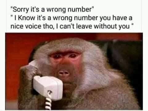 Enjoy this shared meme on HappyTimes, then discover more funny photos and videos.