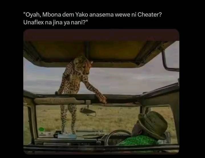 Enjoy this shared meme on HappyTimes, then discover more funny photos and videos.
