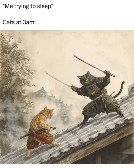 Enjoy this shared meme on HappyTimes, then discover more funny photos and videos.