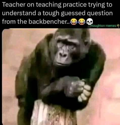 Enjoy this shared meme on HappyTimes, then discover more funny photos and videos.