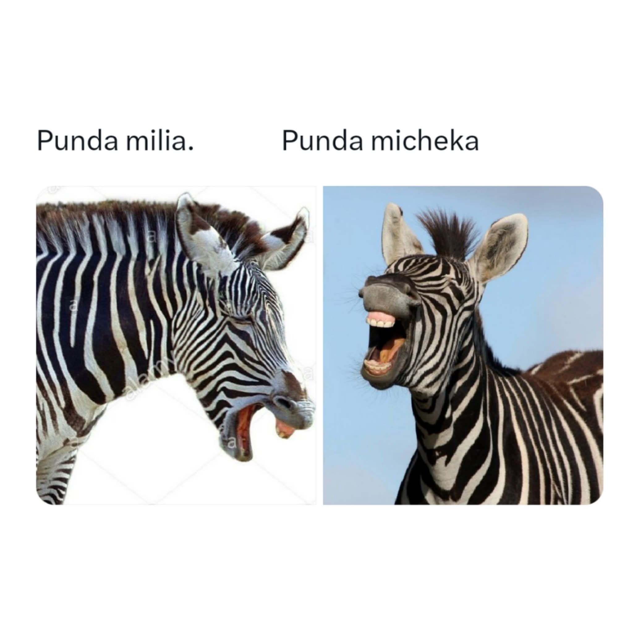 Enjoy this shared meme on HappyTimes, then discover more funny photos and videos.