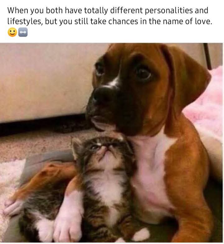 Enjoy this shared meme on HappyTimes, then discover more funny photos and videos.