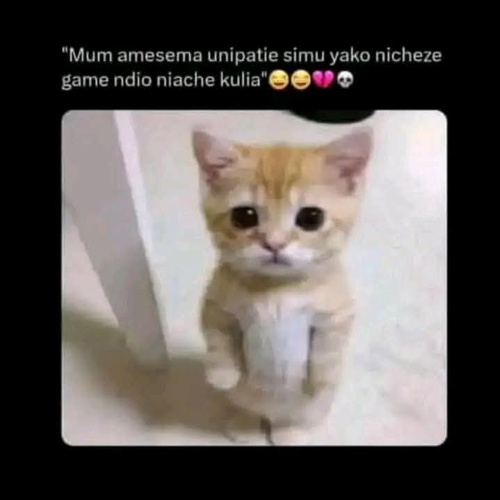 Enjoy this shared meme on HappyTimes, then discover more funny photos and videos.