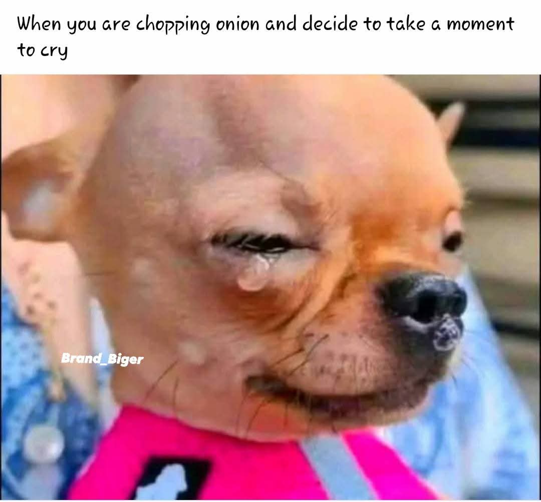 Enjoy this shared meme on HappyTimes, then discover more funny photos and videos.