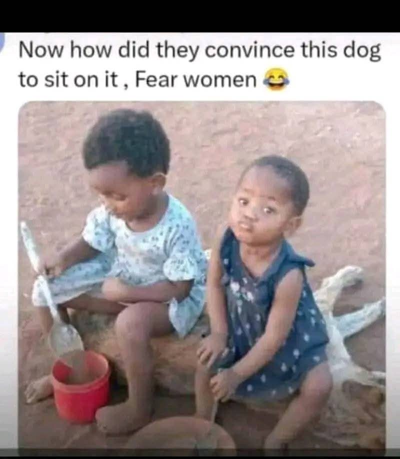 Enjoy this shared meme on HappyTimes, then discover more funny photos and videos.