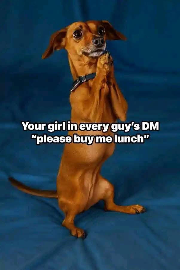 Enjoy this shared meme on HappyTimes, then discover more funny photos and videos.