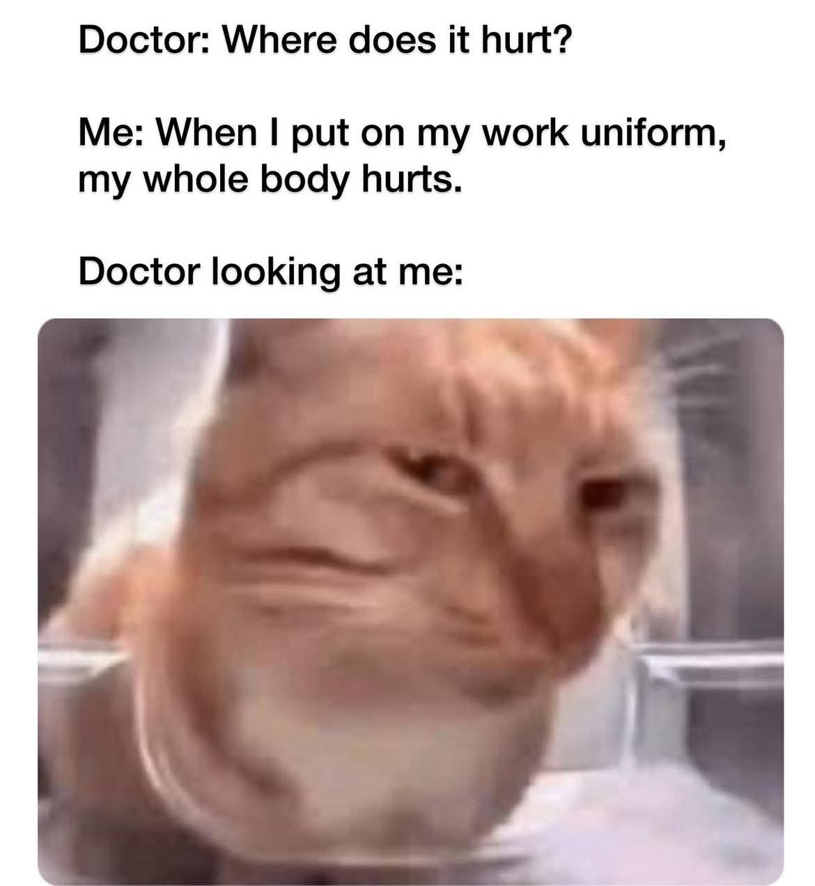 Enjoy this shared meme on HappyTimes, then discover more funny photos and videos.