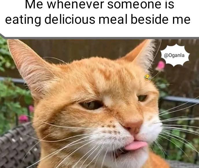 Enjoy this shared meme on HappyTimes, then discover more funny photos and videos.