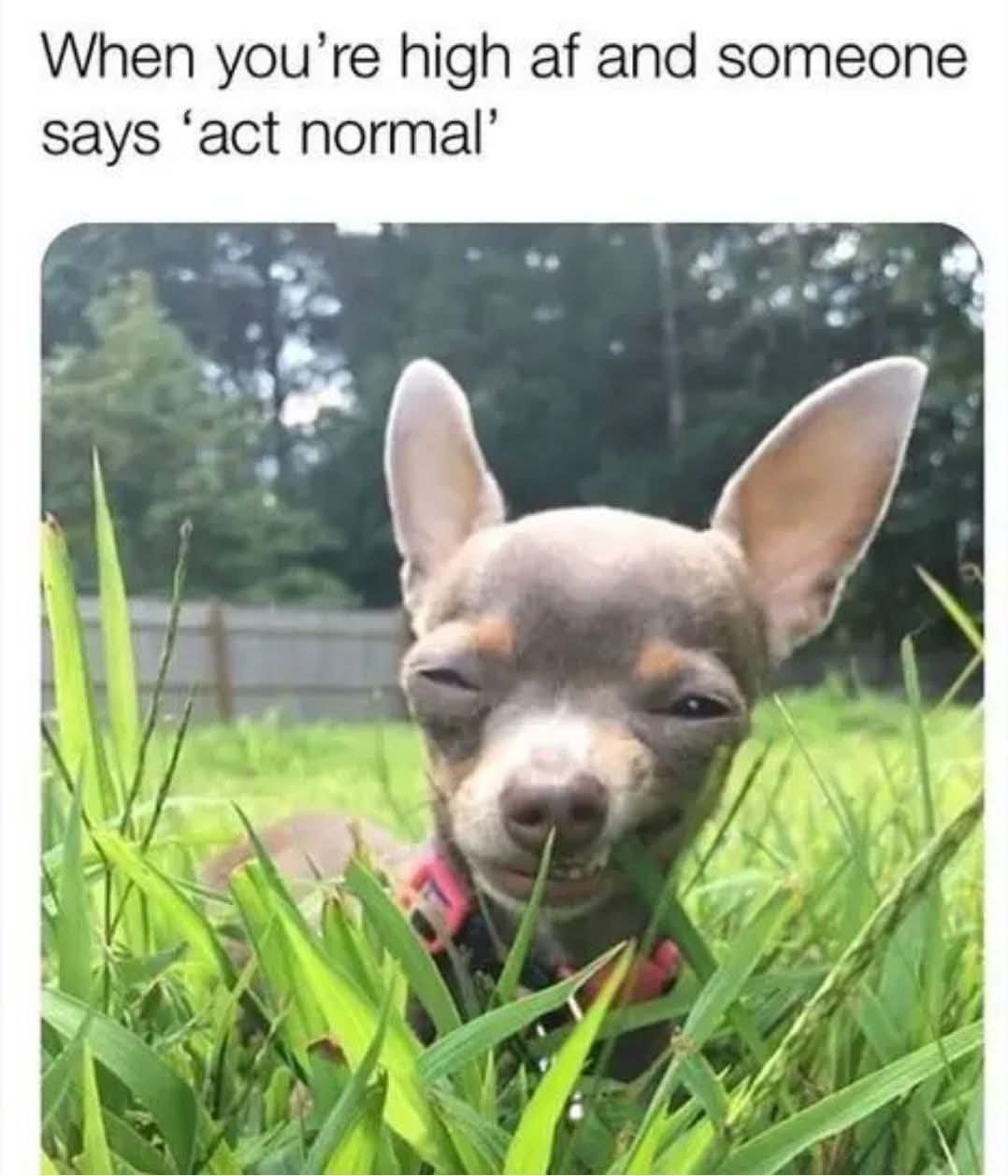 Enjoy this shared meme on HappyTimes, then discover more funny photos and videos.