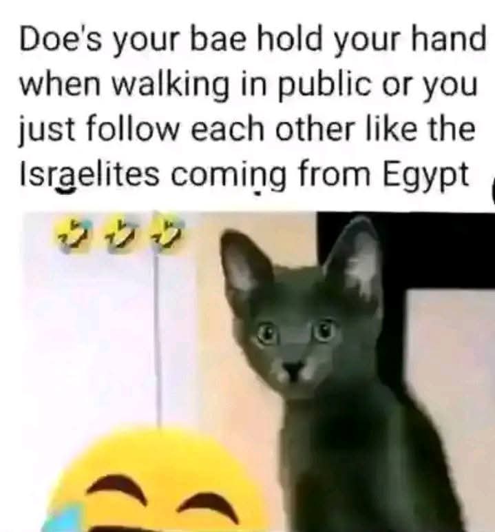 Enjoy this shared meme on HappyTimes, then discover more funny photos and videos.