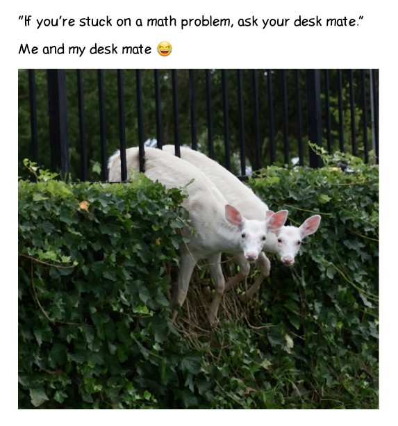 Enjoy this shared meme on HappyTimes, then discover more funny photos and videos.