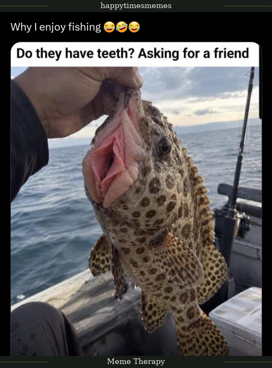 Enjoy this shared meme on HappyTimes, then discover more funny photos and videos.