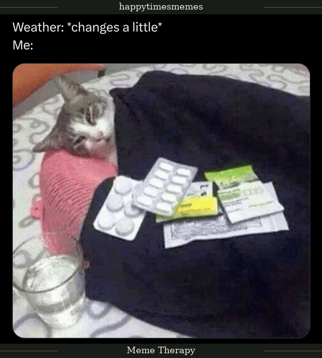 Enjoy this shared meme on HappyTimes, then discover more funny photos and videos.