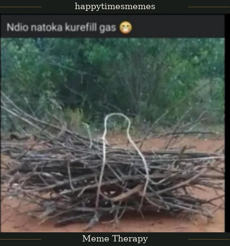 Enjoy this shared meme on HappyTimes, then discover more funny photos and videos.