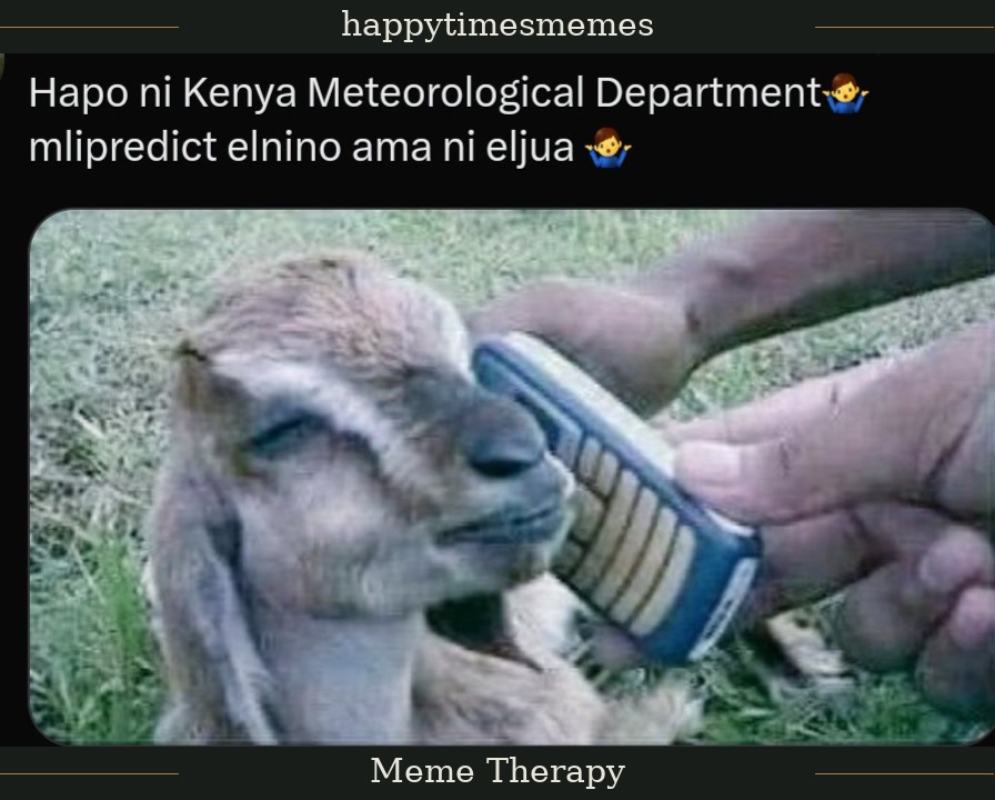 Meme 1/4