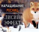 лисий эффект наращивания ресниц