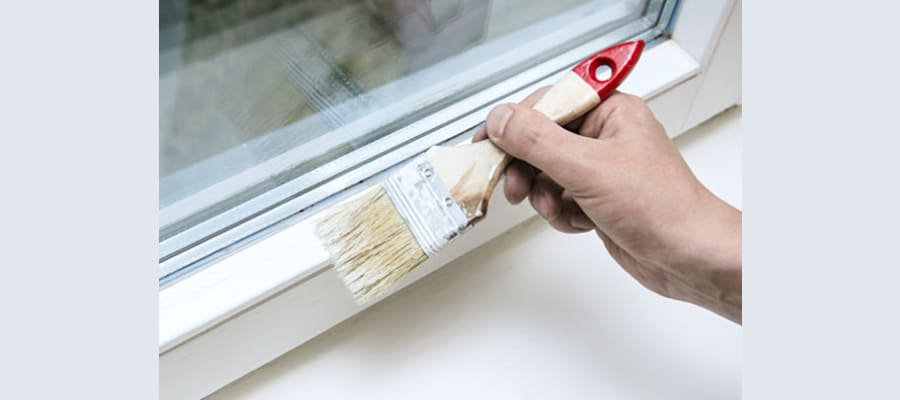 Window Paint