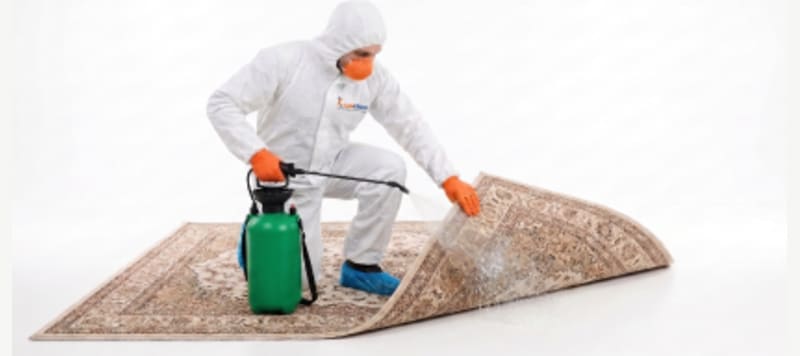 Disinfection Services