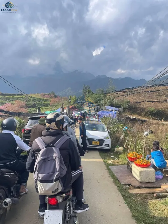 Đất 30.000m² (3ha) mặt tiền 300m, ngay cạnh Ecopark Sa Pa – Cơ hội đầu tư cafe‑glamping hoành tráng!