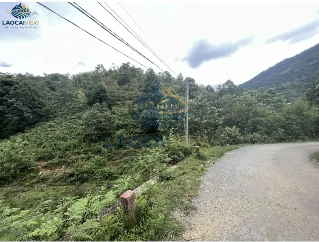 Đất nền Y Tý, Lào Cai 9.800m² – Mặt tiền 60m, View đẹp, Giá thỏa thuận – Cơ hội đầu tư tiềm năng phát triển