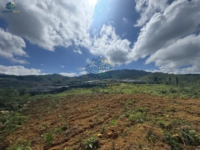 Đất nền Y Tý, Lào Cai 60.000 m² mặt tiền 150m – Giá thỏa thuận, cơ hội đầu tư tiềm năng phát triển