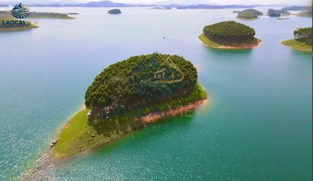 Đảo hồ Thác Bà - Bán nhanh 12.000m², Giá 3,8 tỷ, Vị trí đắc địa gần dự án Sungroup & Intercontinental