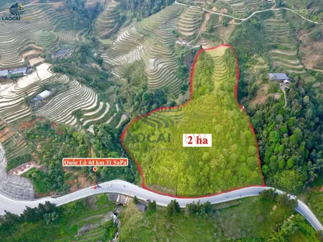 Bán Đất 2ha View Ruộng Bậc Thang, Mặt Quốc Lộ 4D, Tiềm Năng Resort Sa Pa – Giá 15 Tỷ