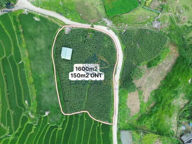 Đất Tả Van 1.600m² View Mường Hoa - Giá 7.5 tỷ - Đầu tư nghỉ dưỡng cao cấp tại Sa Pa Lào Cai