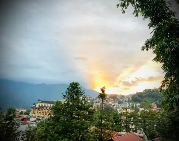 Hình ảnh thực tế phòng nghỉ: Sapa Succulent Garden Homestay - Vườn Sen Đá Homestay