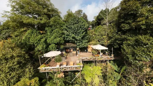 Hình ảnh thực tế phòng nghỉ: Sapa Jungle Homestay
