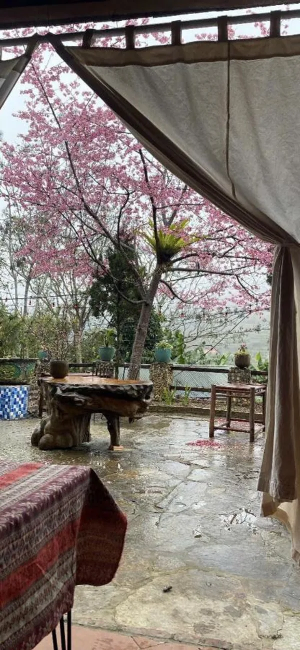 Hình ảnh thực tế phòng nghỉ: Vanhaus