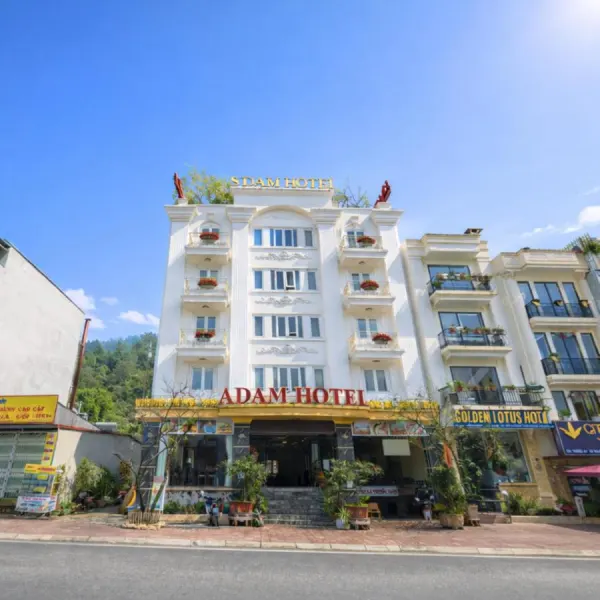 Hình ảnh thực tế phòng nghỉ: Adam Hotel Sa Pa