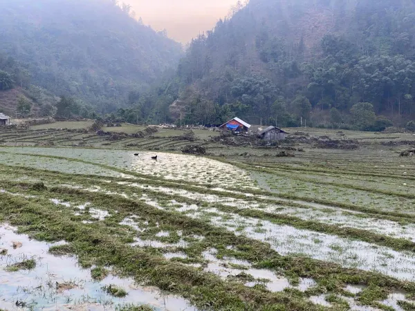 Hình ảnh thực tế phòng nghỉ: Happy Farmstay Sapa