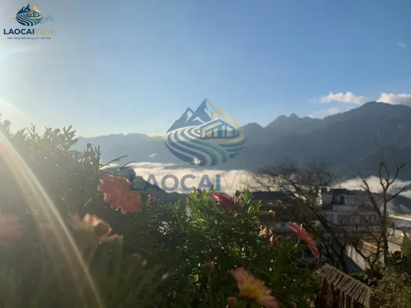 Green View Hotel Sapa - Ảnh 4