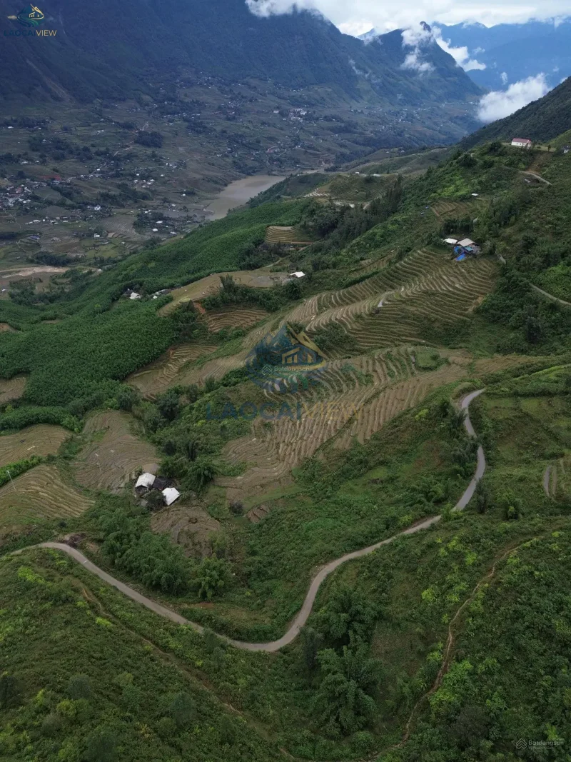 Bán Lô Đất 2800m2 Tại Tả Van, Sa Pa - Full Thổ Cư, Mặt Tiền 100m, Giá Chỉ 7 Triệu/m2 - Ảnh 2