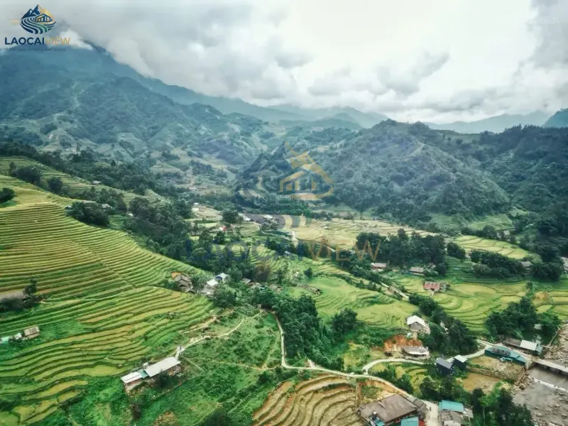 Bán Đất Ý Linh Hồ, Sa Pa - 2.100m², View Ruộng Bậc Thang Siêu Đẹp, Giá 1,9 Tỷ, Giao Dịch Ngay - Ảnh 2