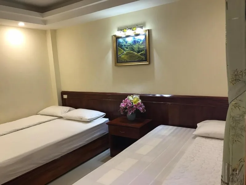 Camellia Guest House - Ảnh 3