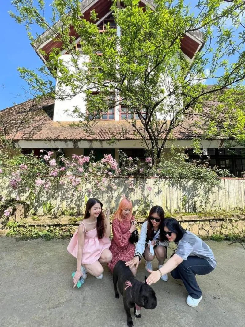 Maison de Sapa Villa - Ảnh 10