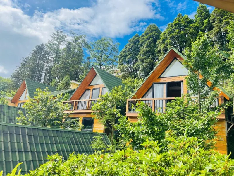 Sapa Pine Hill Eco Lodge - Ảnh 1