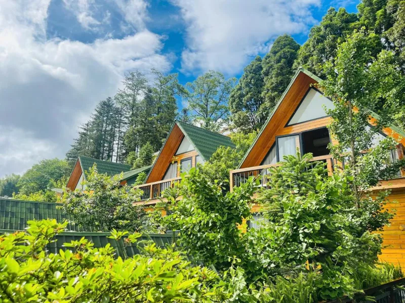Sapa Pine Hill Eco Lodge - Ảnh 6