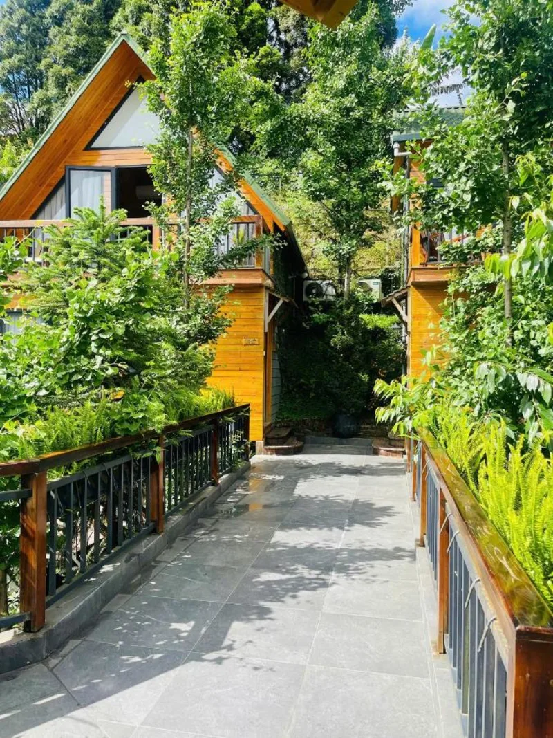 Sapa Pine Hill Eco Lodge - Ảnh 15