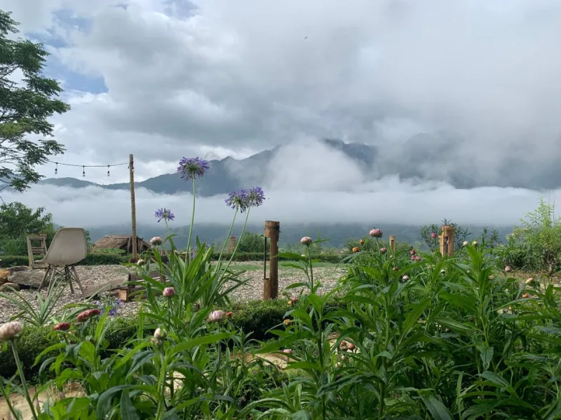 Sapa Rosie House & Spa - Mountain Retreat - Ảnh 4