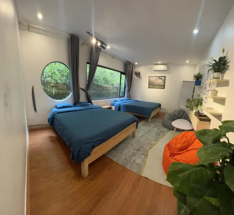 Catcat Garden House - Ảnh 5