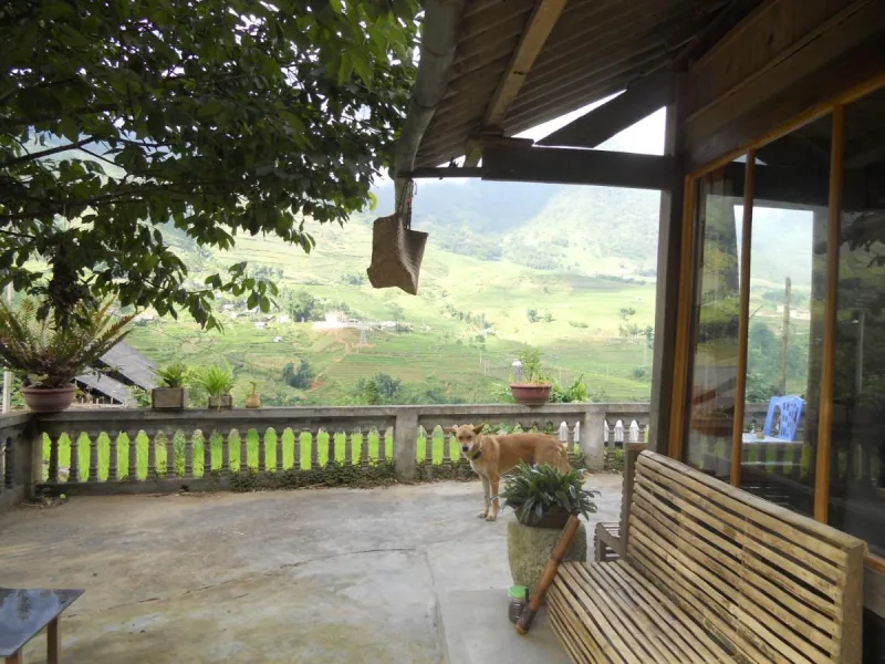 Luckydaisy Buffalo House - Ảnh 15