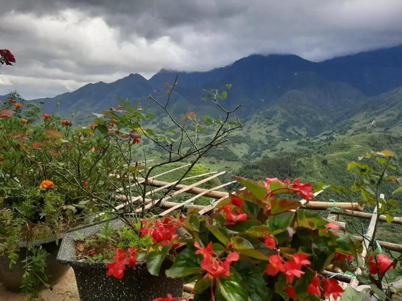 VALLEY VIEW COFFEE & STAY - Ảnh 15