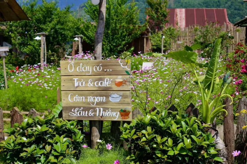 Lung Chung Doi Sapa - Homestay & Coffee Garden - Ảnh 3