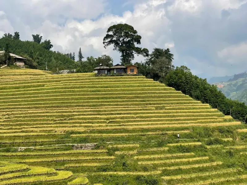 Best View Homestay - Ảnh 1