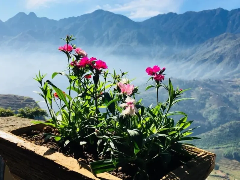 Sapa Unique Hotel - Ảnh 11