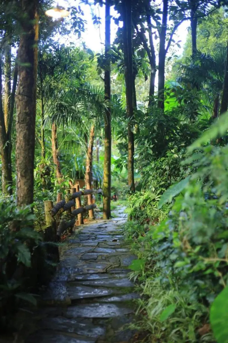 Sapa Jungle Homestay - Ảnh 4